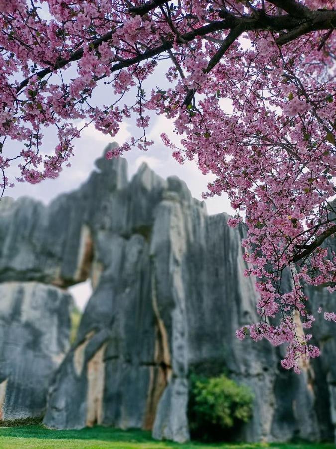 Stone Forest Mijia Guest House Shilin 외부 사진